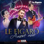 Gdynia Wydarzenie Koncert Rewia Musicalowa "Le Figaro" - "Amore mio"